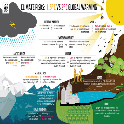 Infographics